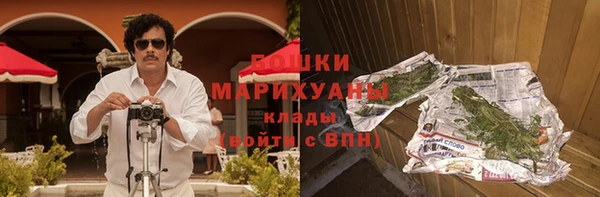 гашик Бородино