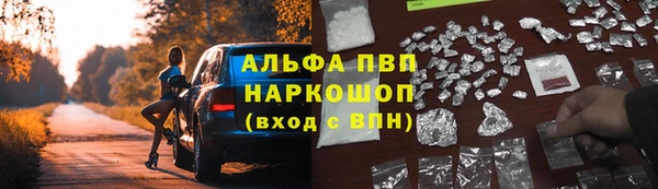 гашик Бородино