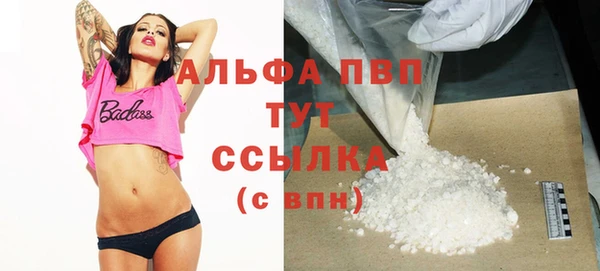 гашик Бородино