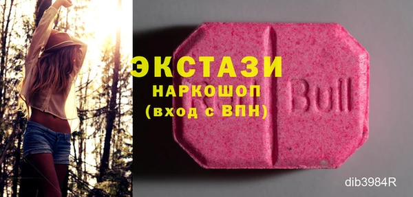 гашик Бородино