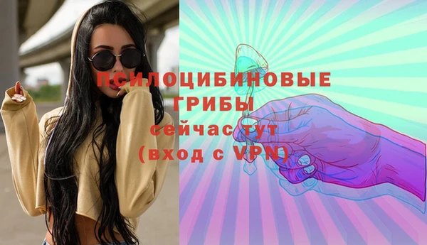 гашик Бородино