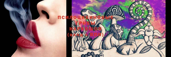гашик Бородино