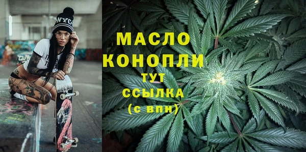 гашик Бородино